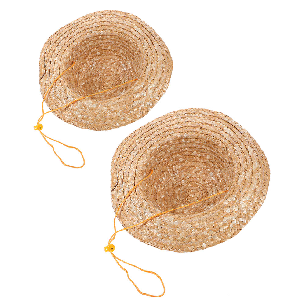 Straw Hat Summer - 2 stuks kinderstrohoed, natuurlijke kleur, brede