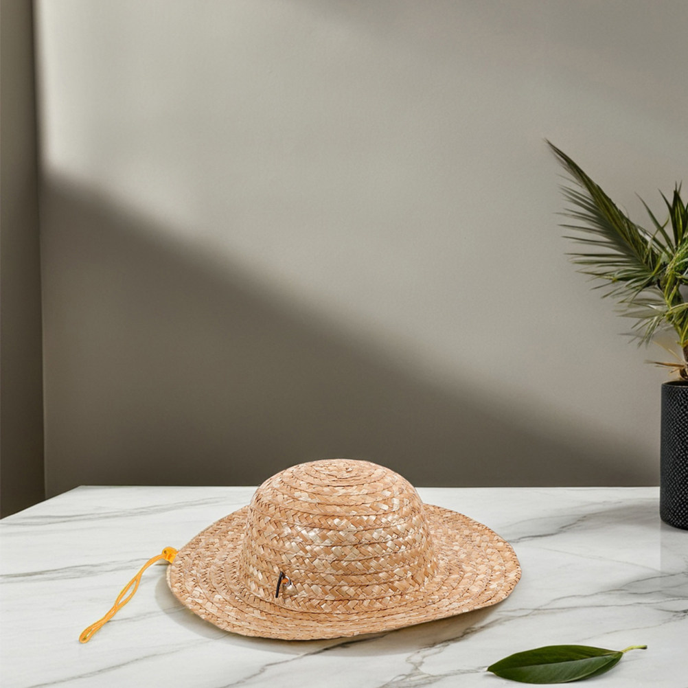2 stuks kinderstrohoed, natuur - Straw Hat Summer recensie en prijs